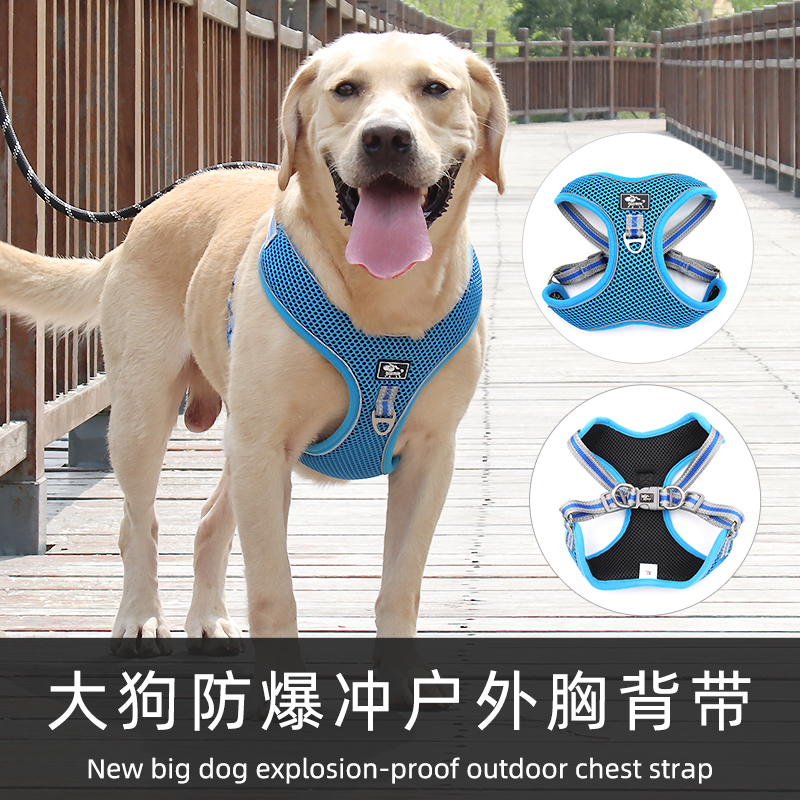 葵葵熊浙江品牌正品保证