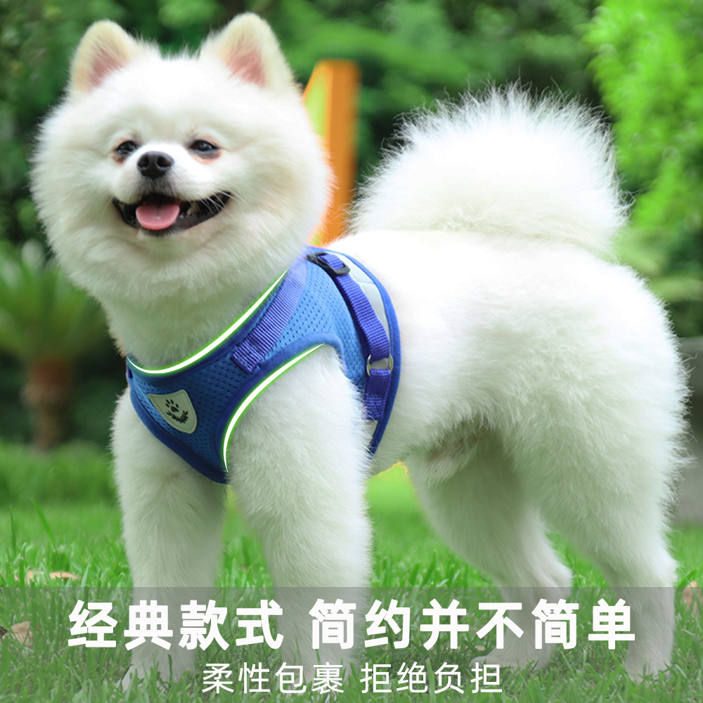 葵葵熊小狗狗牵引绳宠物胸背调节