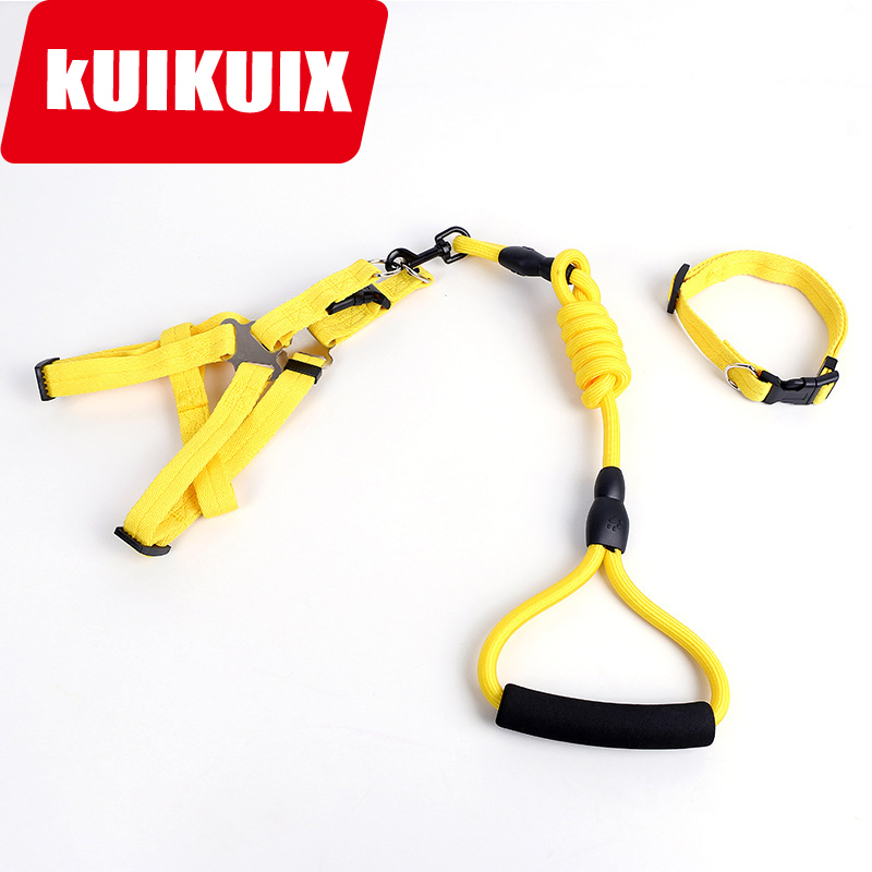 葵葵熊狗狗牵引绳胸背项圈三件套