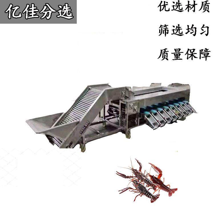 圣女果分级机小龙虾筛选机黄瓜分拣机 胡萝卜分选机 土豆分大小机,清洗/食品/商业设备,肉制品加工设备,淘宝优惠券,粉丝福利购,淘宝优惠卷