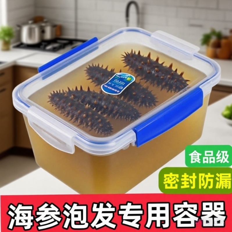海参泡发专用容器冰箱专用食品级塑料密封保鲜收纳鱼胶花胶泡发盒