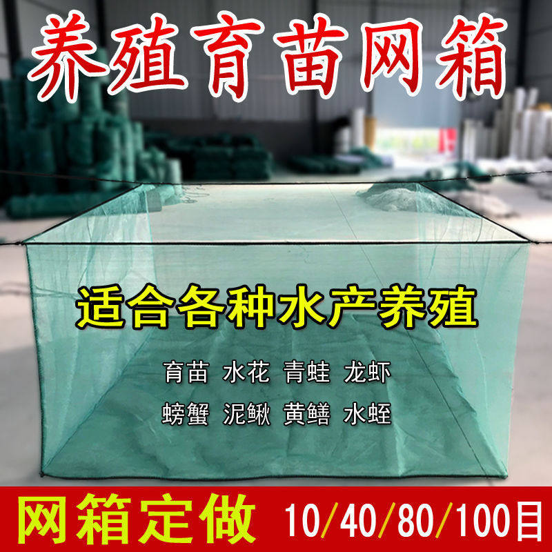 网箱养殖网尼龙养箱鱼苗小防逃网泥鳅黄鳝虾鳝鱼存鱼渔网渔具
