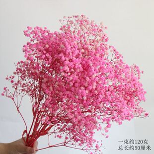 年宵永生花龙须草材蓬莱松布景新年豆吊米婚礼迎客粉色系家居装饰