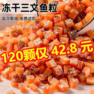 冻干三文鱼粒猫咪宠物零食小鱼干狗狗零食增肥发腮富含鱼油拌粮幼