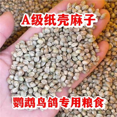纸壳麻子鹦鹉粮大颗粒小太阳鸟粮