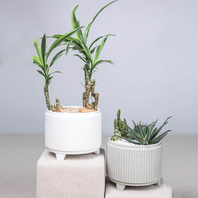 大口径花盆陶瓷多肉植物组盆小盆景透气带脚浅盆ins竖条新款花盆