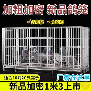 鴿子籠窩大空間繁殖養殖籠白鴿子籠子不銹鋼色大號加密配對籠家用