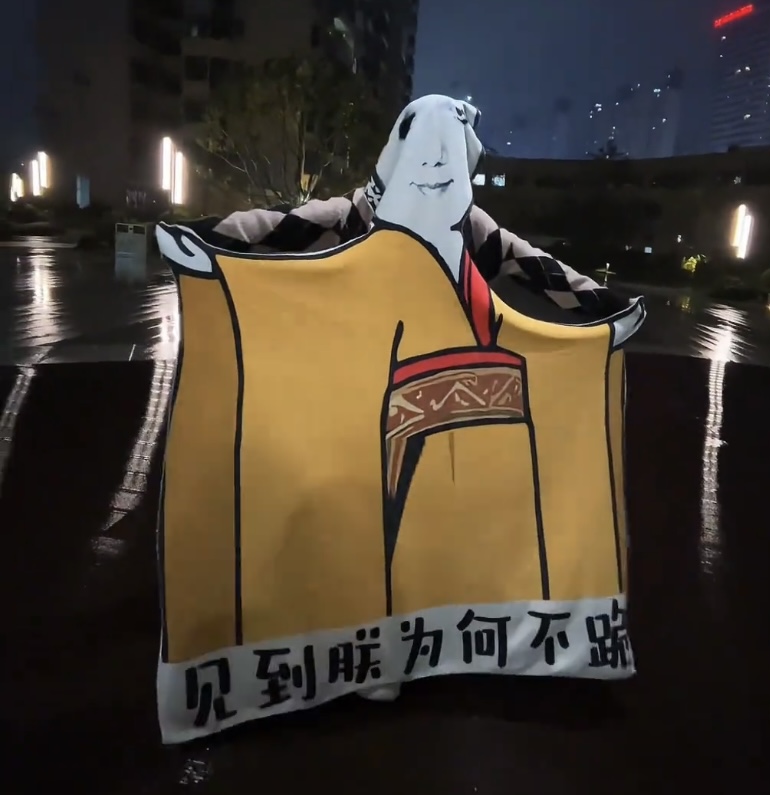 龙图毯见朕为何不跪搞怪毯子宿舍床上午休午睡表情包毛毯