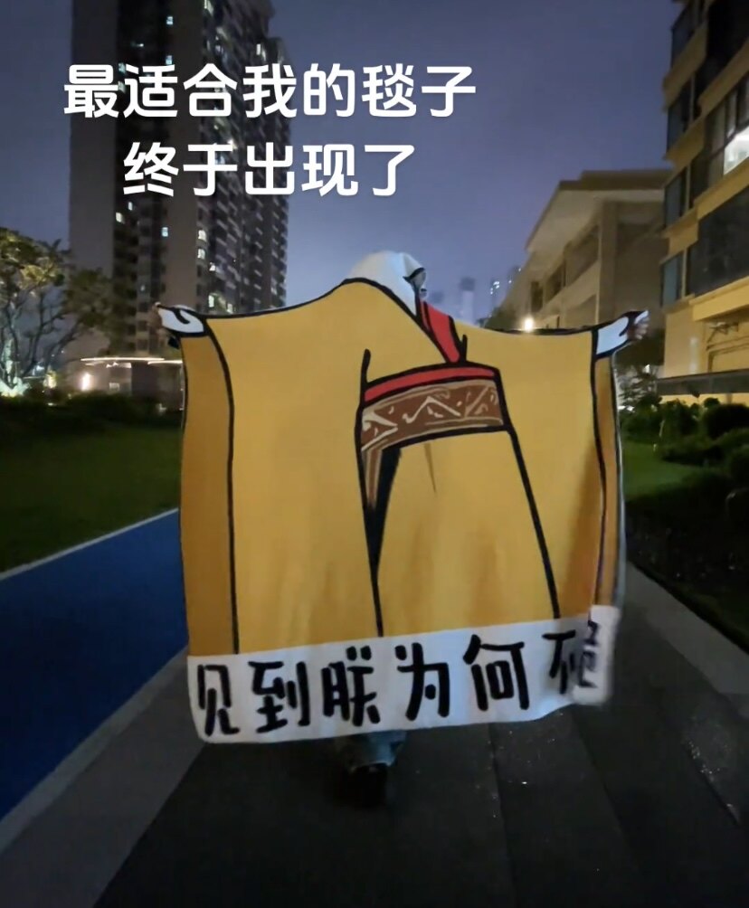 空调毯龙图见朕为何不跪搞怪毯子宿舍床上午休午睡表情包毛毯