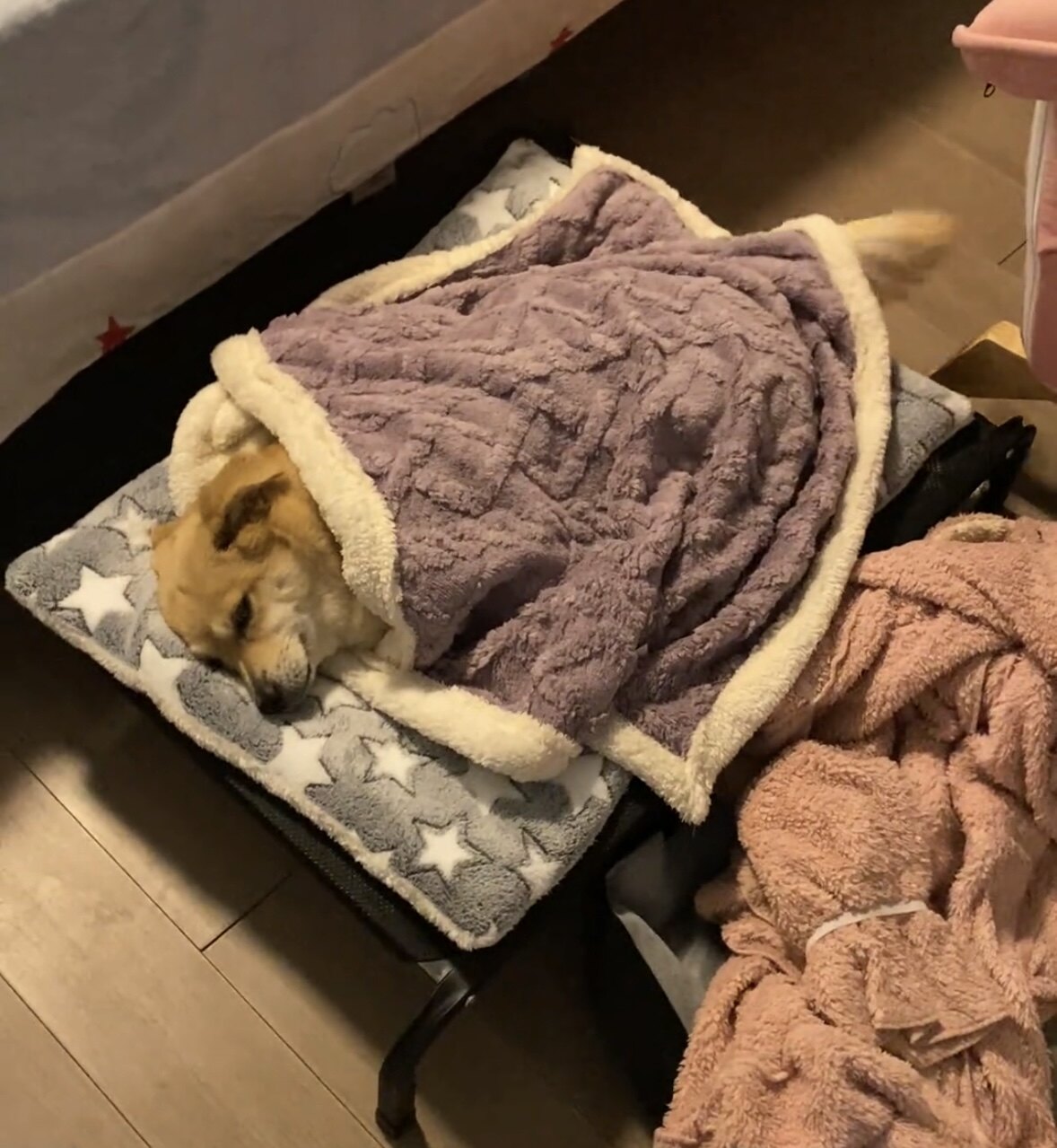 宠物被子毛毯狗狗专用小毯子猫猫咪专用毯子秋冬季睡觉用小被子