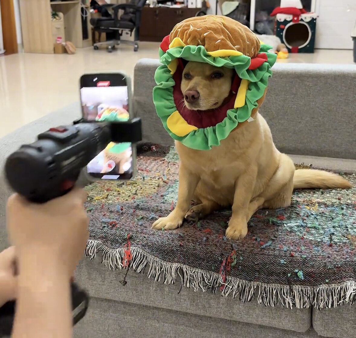 宠物帽子狗狗猫咪头套搞怪汉堡头饰宠物拍照道具宠物头套