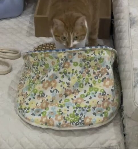 新款夏季拖鞋造型猫窝藤席半封闭猫咪凉席窝中小型犬降温狗宠物窝