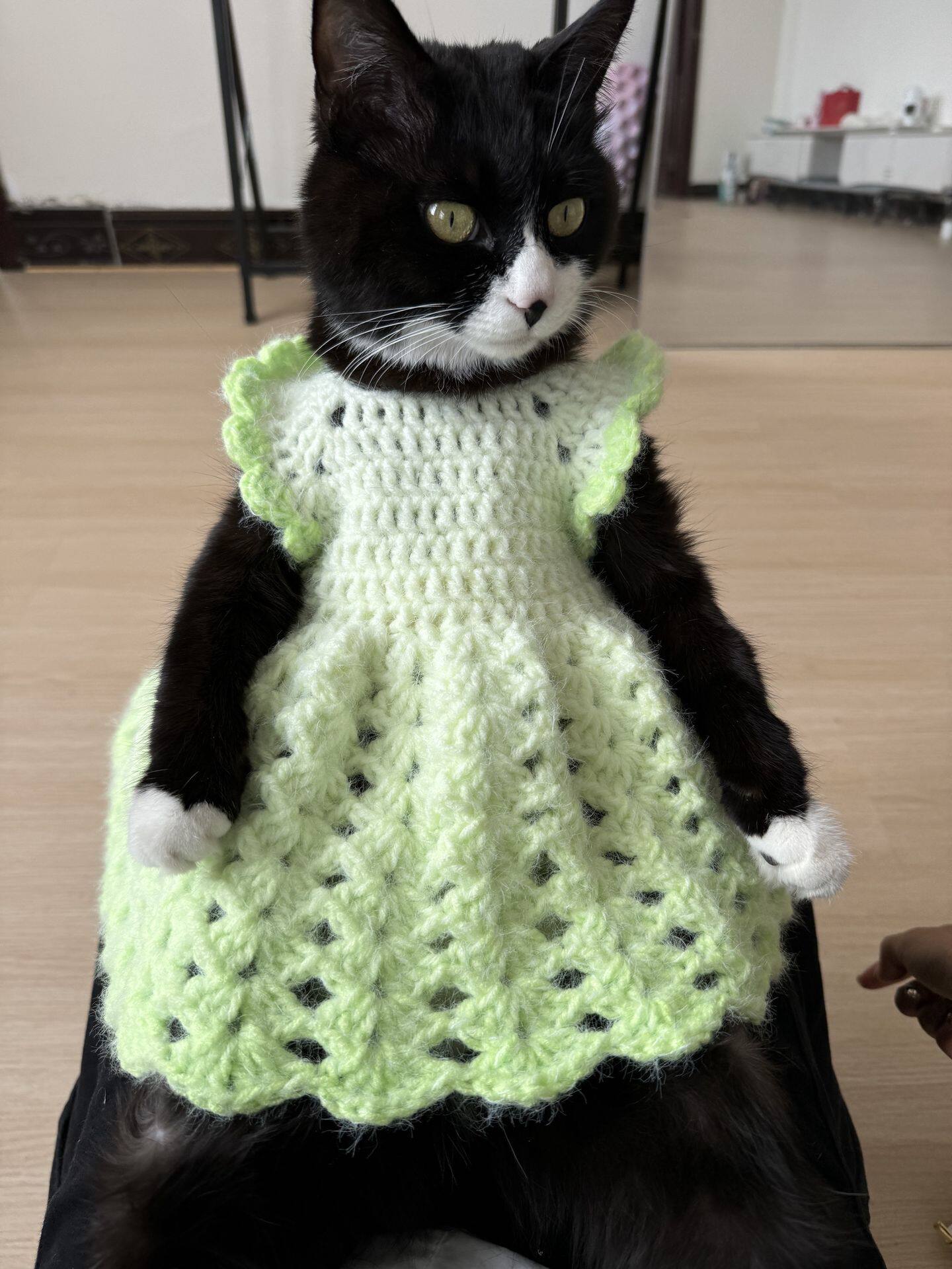 宠物小猫咪狗狗秋冬季保暖加厚毛衣小型犬博美泰迪仙女衣服公主裙