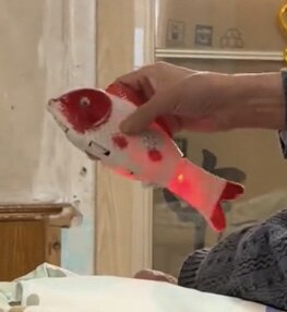 新款电动海洋鱼儿童玩具摇摆鱼音乐闪光鱼发光会跑电动鱼玩具礼物