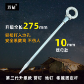 加长加粗地锚帐篷园艺地钉10mm户外固定钉沙滩天幕钢钉飞镖暗器