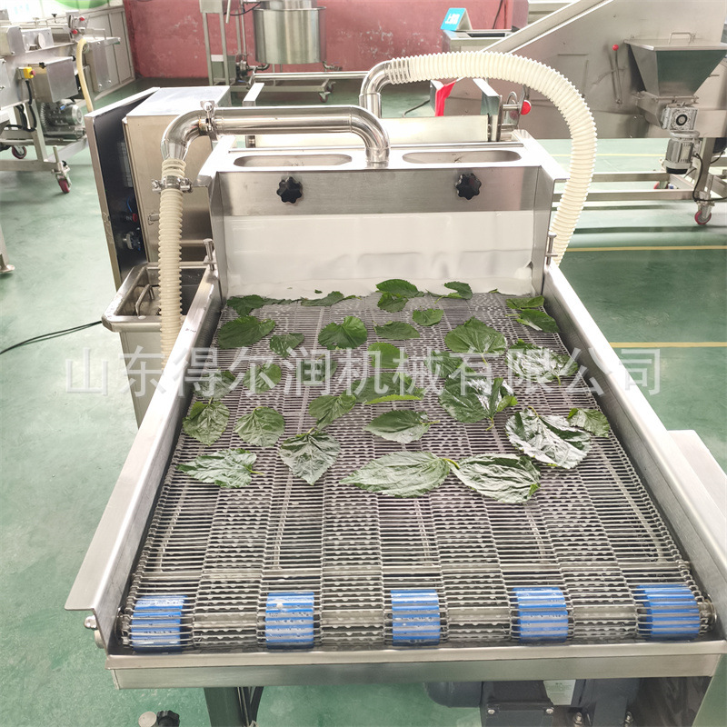 2025预制菜爆款 香酥翠叶裹浆油炸生产线 鲜桑叶上浆机 配方指导