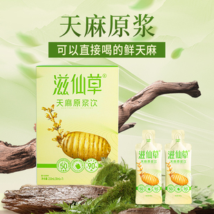 【新品】滋仙草天麻原浆饮昭通小草坝乌天麻礼盒装官方正品旗舰店