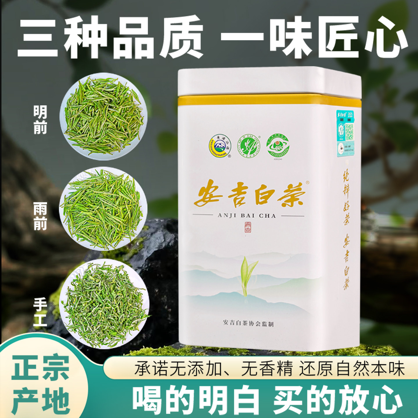 2026新茶正宗安吉白茶明前高山手工绿茶雨前特级白茶礼盒包装散装图片