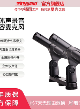 797AUDIO/七九七音响CR626录音麦克风/电容会议话筒双支