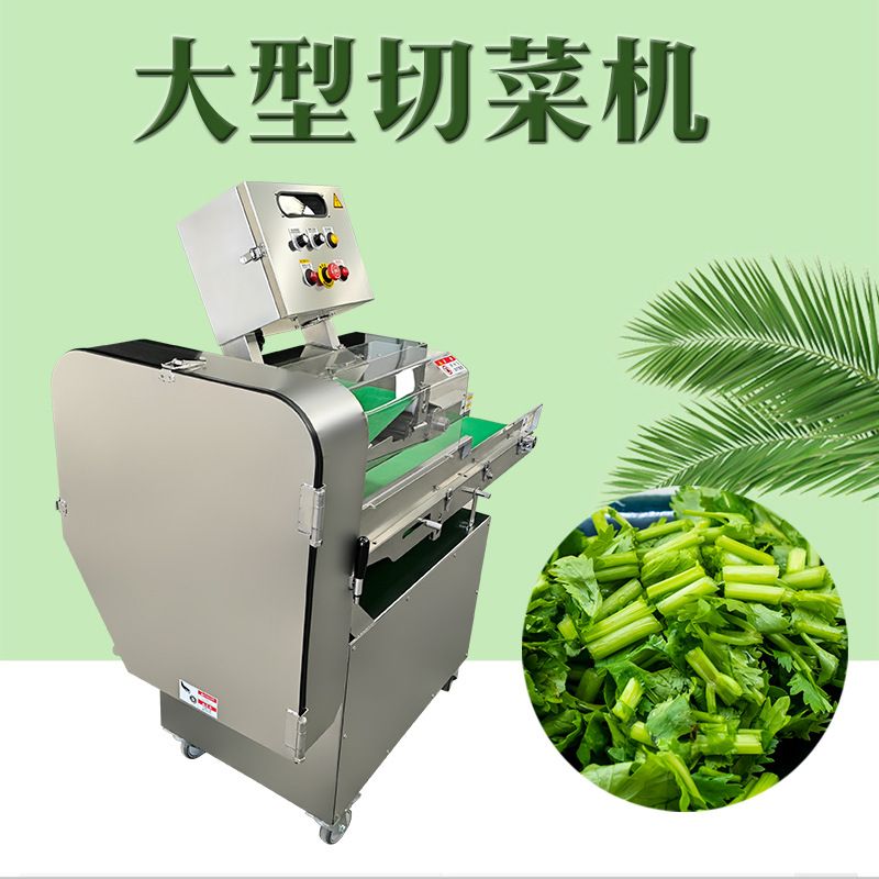 中央厨房预制菜多功能切菜机大型石斛切粒机九盈设备厂价格