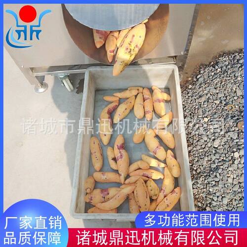 土豆清洗机 芋头毛辊清洗机 鼎迅 莲藕清洗机脱皮机