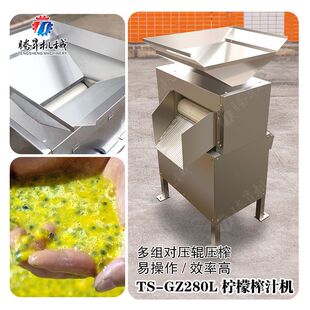 多功能商用压式榨汁机 电动水果蔬菜榨汁机 渣汁分离 原汁机