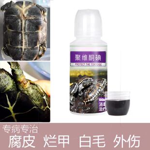 乌龟腐皮烂甲聚维酮碘宠物专用药疥疮白毛外伤消毒液护龟宝护龟液