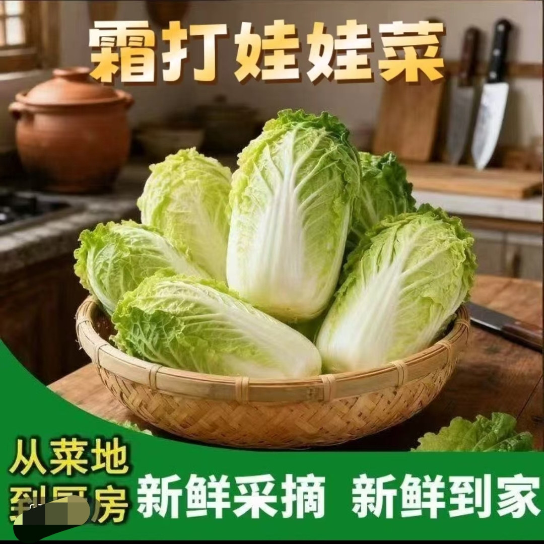 生态娃娃菜当季菜露天种植娃娃菜火锅黄心叶菜蔬菜,水产肉类/新鲜蔬果/熟食,其它,淘宝优惠券,粉丝福利购,淘宝优惠卷