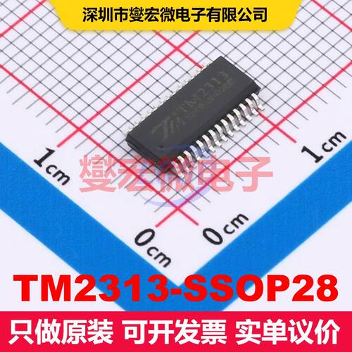 TM2313-SSOP28 SSOP-28 音频专用 集成芯片IC