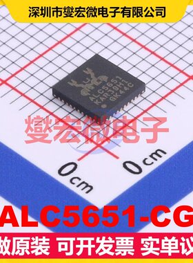 ALC5651-CG QFN-40-EP(5x5) 音频编解码器芯片IC