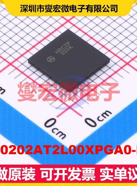 AP0202AT2L00XPGA0-DR VFBGA-100 视频处理器芯片IC