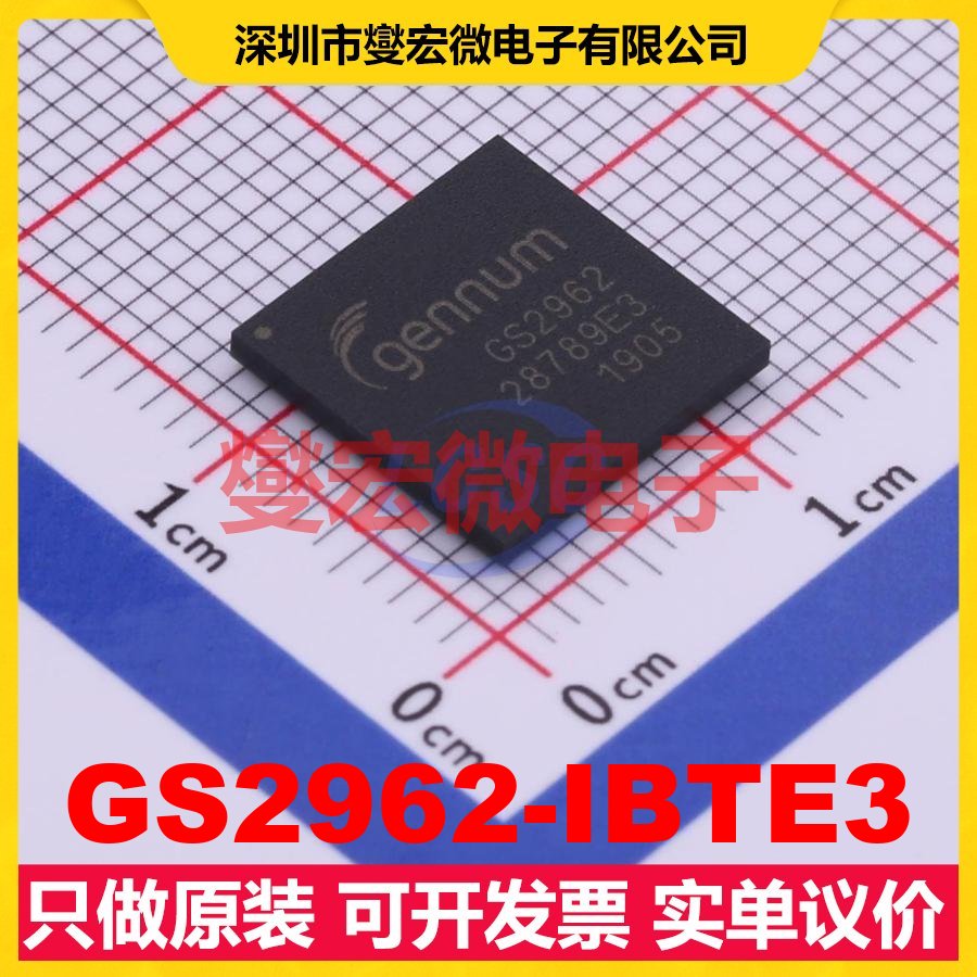 GS2962-IBTE3 BGA-100 视频接口芯片IC