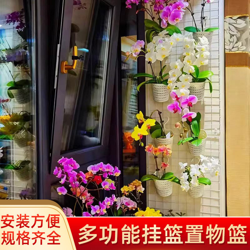 多功能铁丝网格架蝴蝶兰挂篮植物爬藤格子网风车茉莉墙上展示架子