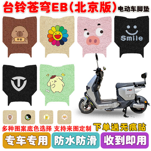 台铃苍穹EB北京版电动车脚垫防水