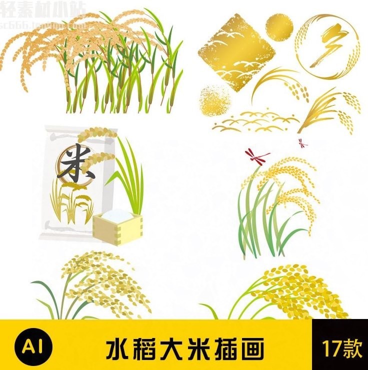 手绘水稻大米饭谷物中餐饮插画免扣png图片ai矢量设计素材 p06