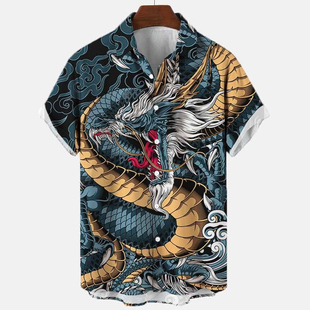 Stylish and simple printed lapel shirt时尚简约印花翻领衬衫男