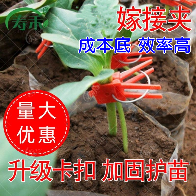 蔬菜嫁接夹子瓜果花卉蟹爪兰平口圆口育苗嫁接黄瓜番茄西瓜苗通用-封面