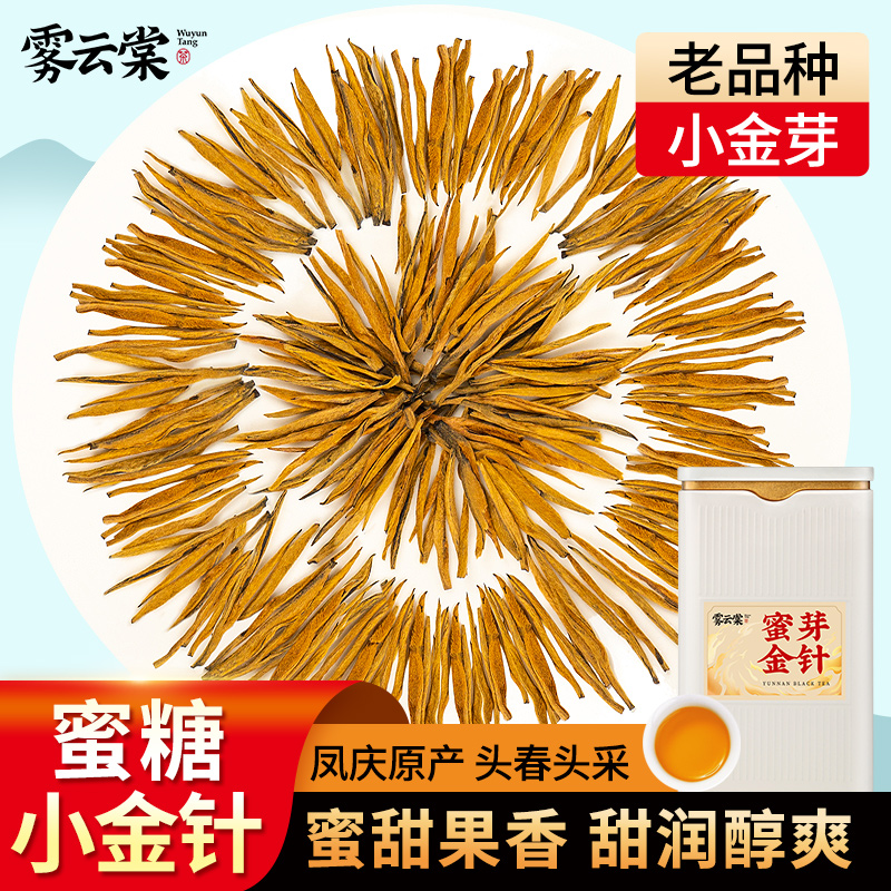 雾云棠蜜芽小金针果香蜜香