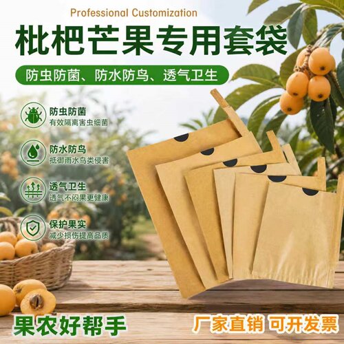 枇杷套袋芒果梨子黄桃苹果专用袋
