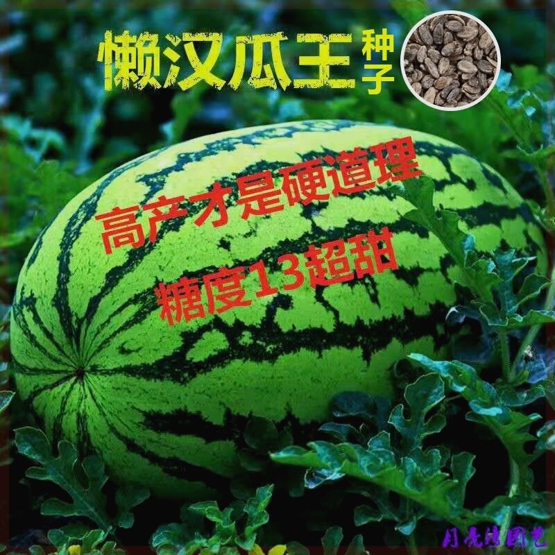 懒汉西瓜种子正品高产特大早熟四家庭园艺种子