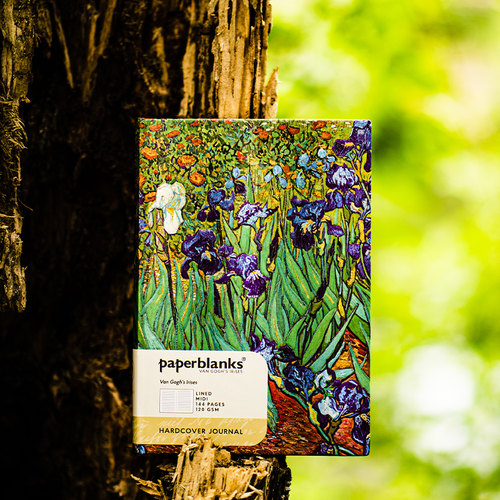 paperblanks无酸纸笔记本印花