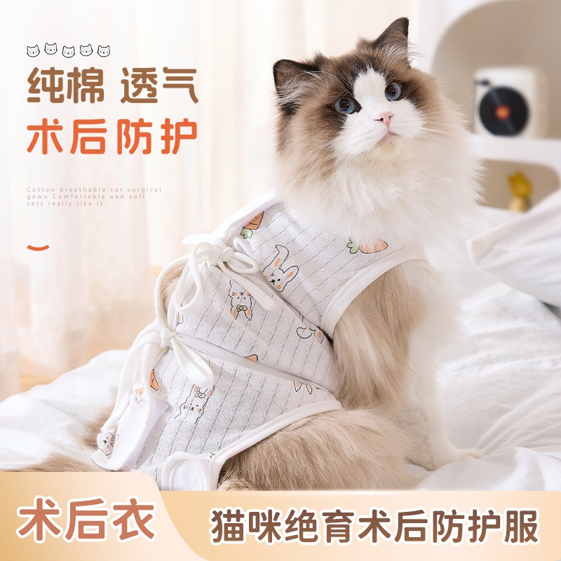 新款四季防舔绝育服手术服母猫断奶服猫猫薄款猫咪衣服跨境