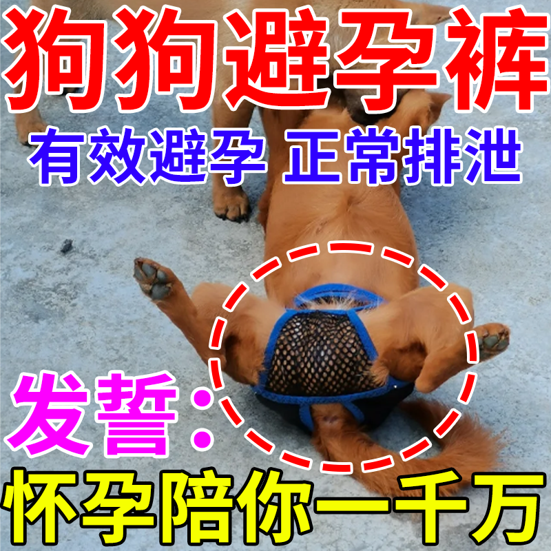 狗狗避孕裤可排泄裤防狗发情骚扰裤防交配裤生理裤母狗防交配神器