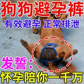 可排泄裤 防狗发情骚扰裤 防交配裤 狗狗避孕裤 生理裤 母狗防交配神器