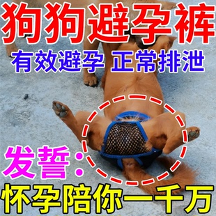 狗狗避孕裤可排泄裤防狗发情骚扰裤防交配裤生理裤母狗防交配神器