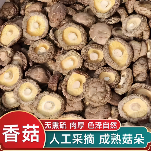香菇干货500g肉厚无根干香菇新货蘑菇批发毛重非净重农家特产250g