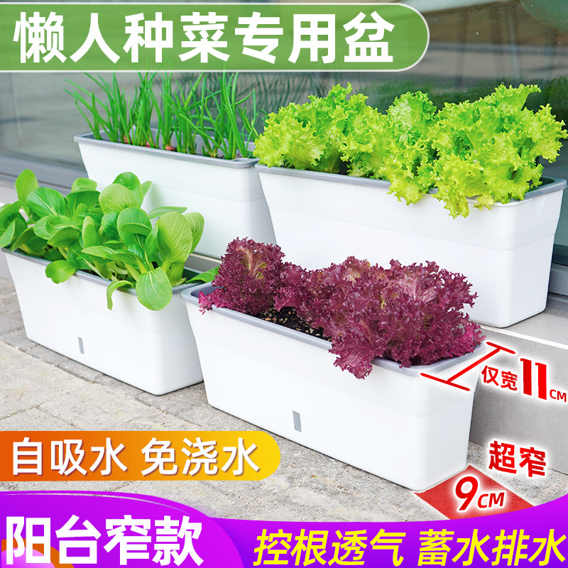 长方形窄花盆阳台种菜盆长条蔬菜种植专用箱窗台草莓花槽种菜神器,鲜花速递/花卉仿真/绿植园艺,花盆,淘宝优惠券,粉丝福利购,淘宝优惠卷