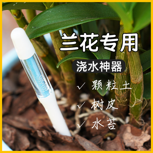 日本花信水分计兰花基质可用