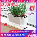 家庭阳台种菜盆蔬菜栽神器塑料花盆草莓种植箱多肉盆器自动吸水