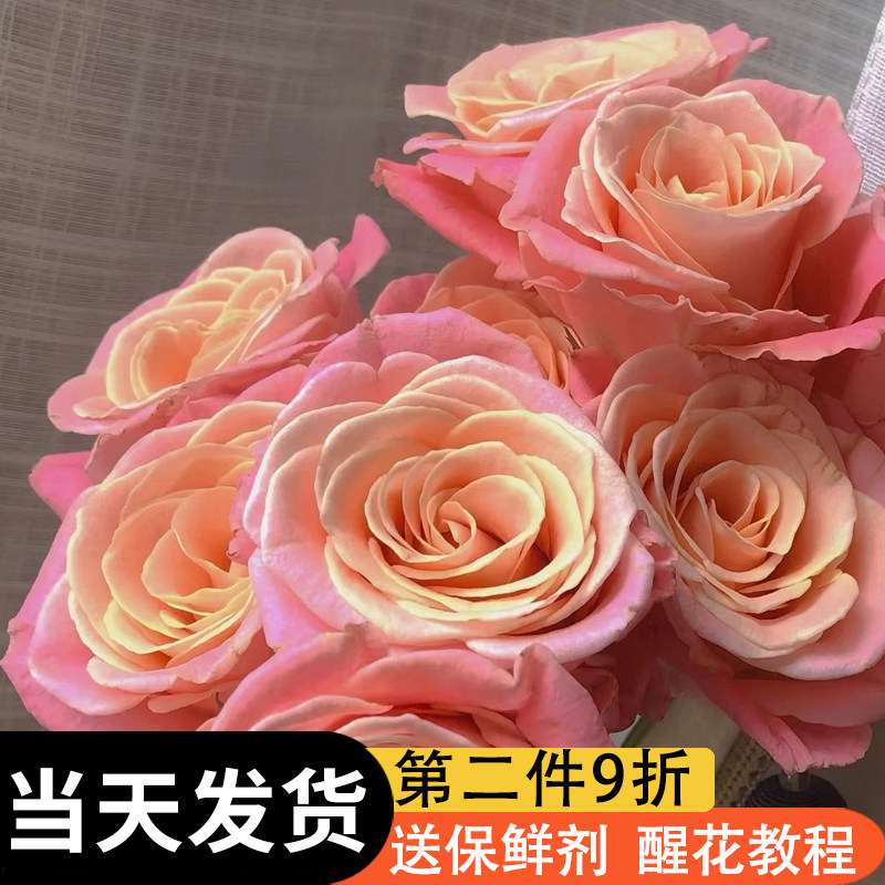 方德嘉荷A级玫瑰猪朱小姐鲜花束